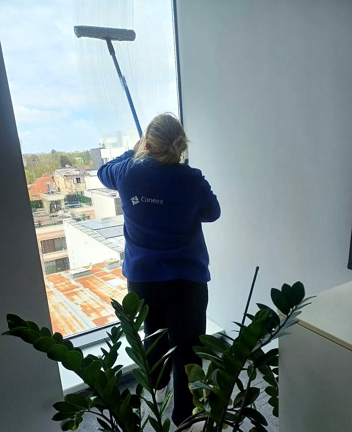 Angajată Conex Clean spălând geamul panoramic al unui birou