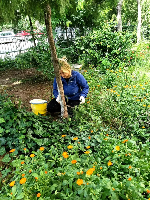 Îngrijirea spațiului verde